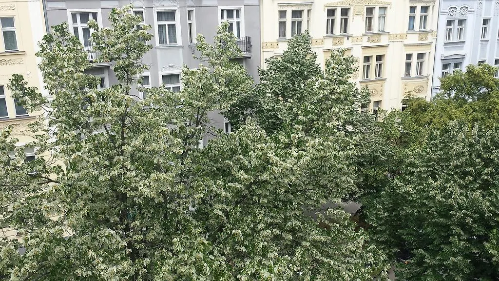 Apartment Orchidea Prag